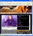 Wellcams.com chat window