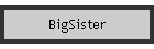 BigSister
