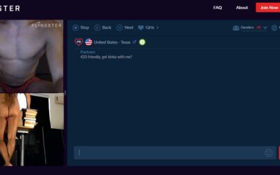 FLINGSTER  / ChatSpin / Shagle : Quick Look at Random Chat Alternatives