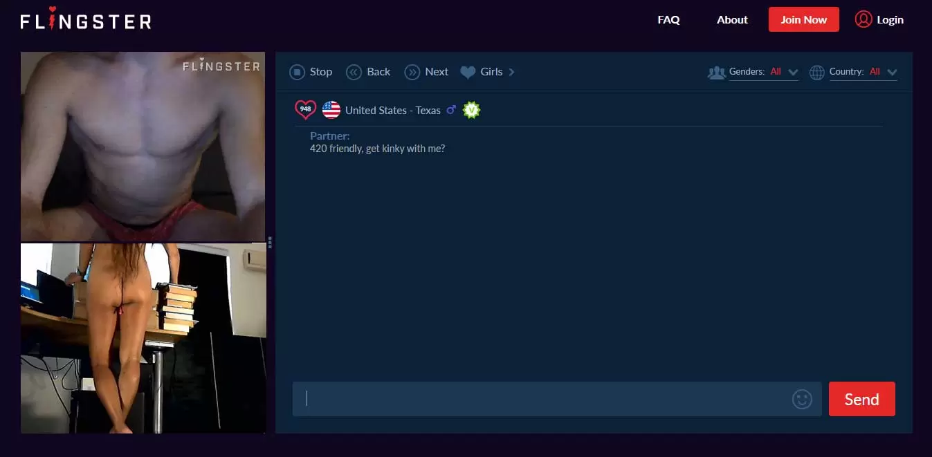 FLINGSTER  ChatSpin  Shagle : Quick Look at Random Chat Alternatives -  Adult Webcam FAQ