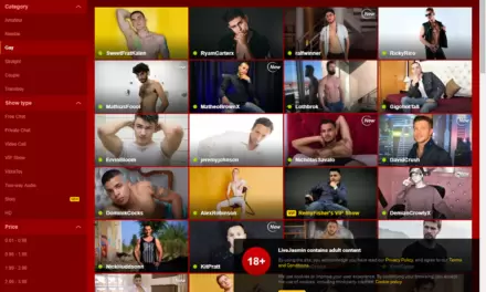 Gay Cam Directory