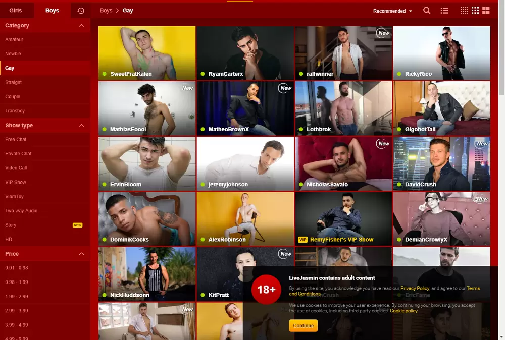 Gay Cam Directory
