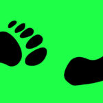 Gay foot fetish webcam