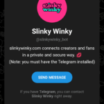 SlinkyWinky: A Quick Look at Telegram Cam Chat Bot