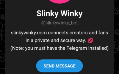 SlinkyWinky: A Quick Look at Telegram Cam Chat Bot