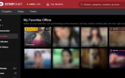 Request a Private Show with an Offline Stripchat Model