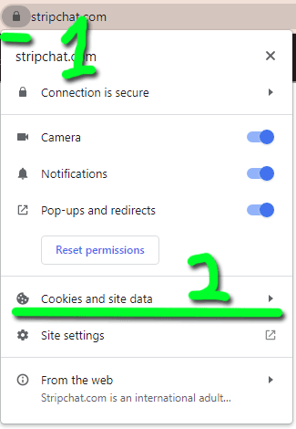 Stripchat.com connection is secure, cookies and site data