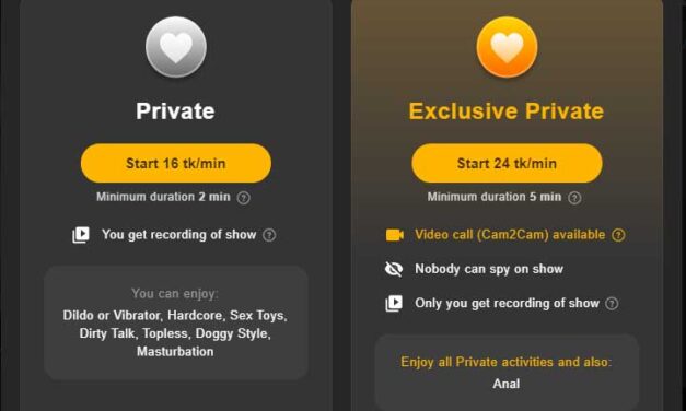 Private Chat at Stripchat.com has a New Level: What do You Get?
