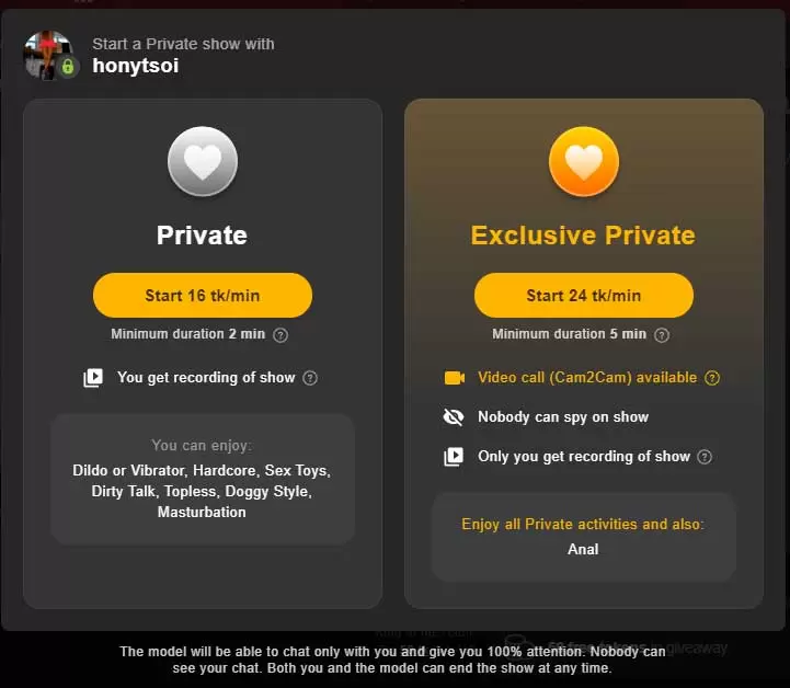 Stripchat Private Shows: What are they and what do they cost?