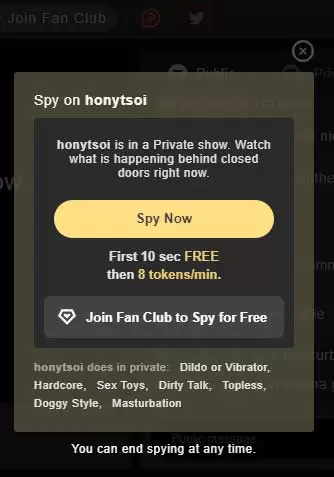 You can't spy on Stripchat Exclusive Private the way you can on a regular private.