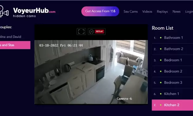 Quick look: VoyeurHub.Com – European Couple Voyeur House Cams