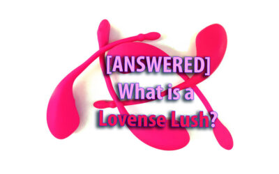 [ANSWERED] What is a Lovense Lush?